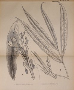 n354_w1150