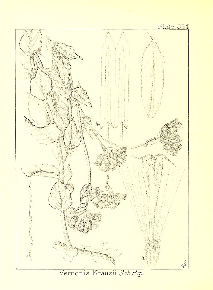 n119_w1150