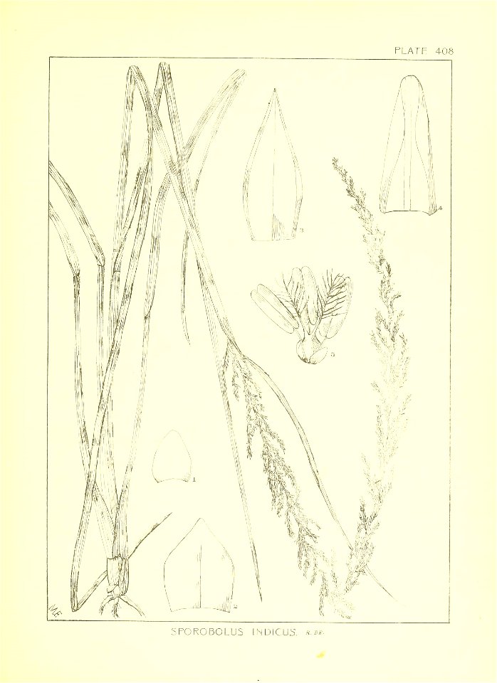 n36_w1150