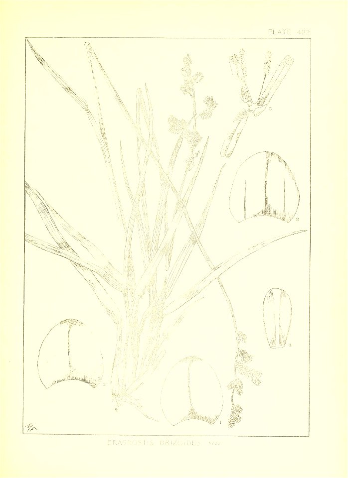 n78_w1150