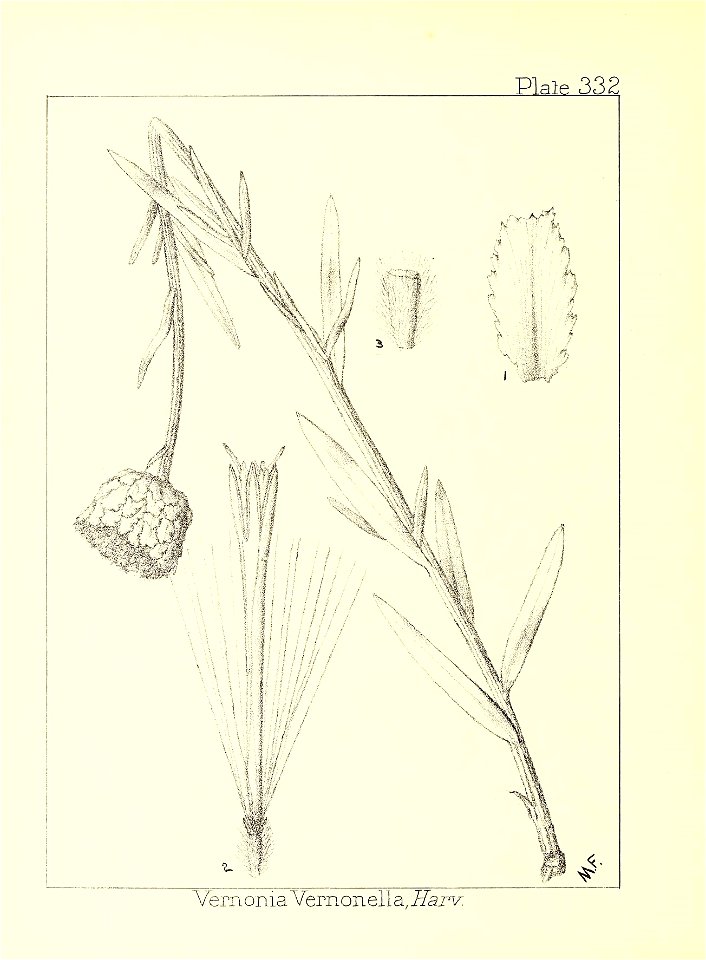 n113_w1150