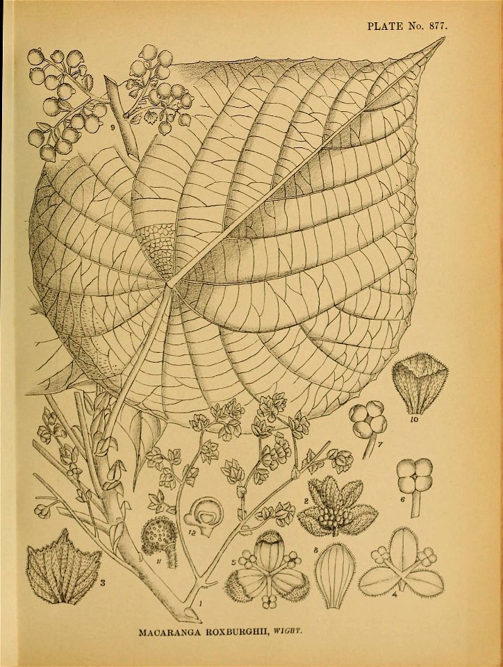 n190_w1150