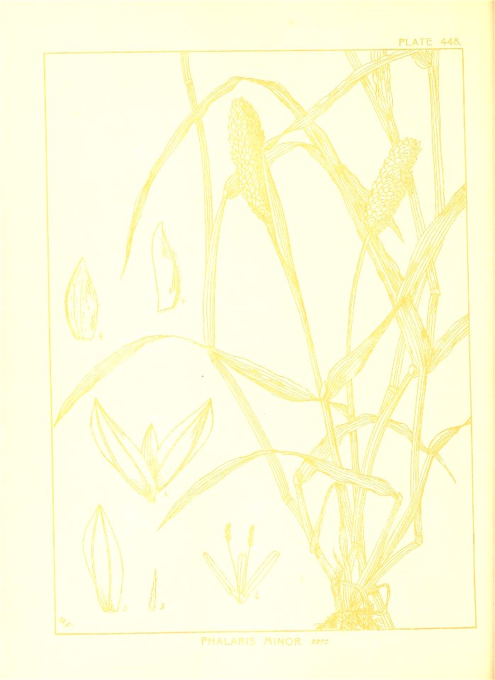 n161_w1150