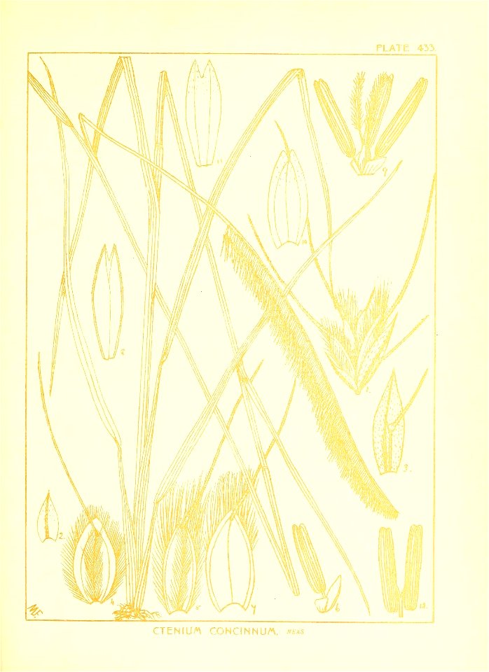 n116_w1150