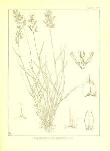 n66_w1150