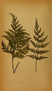 n45_w1150