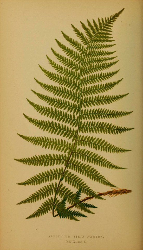 n157_w1150