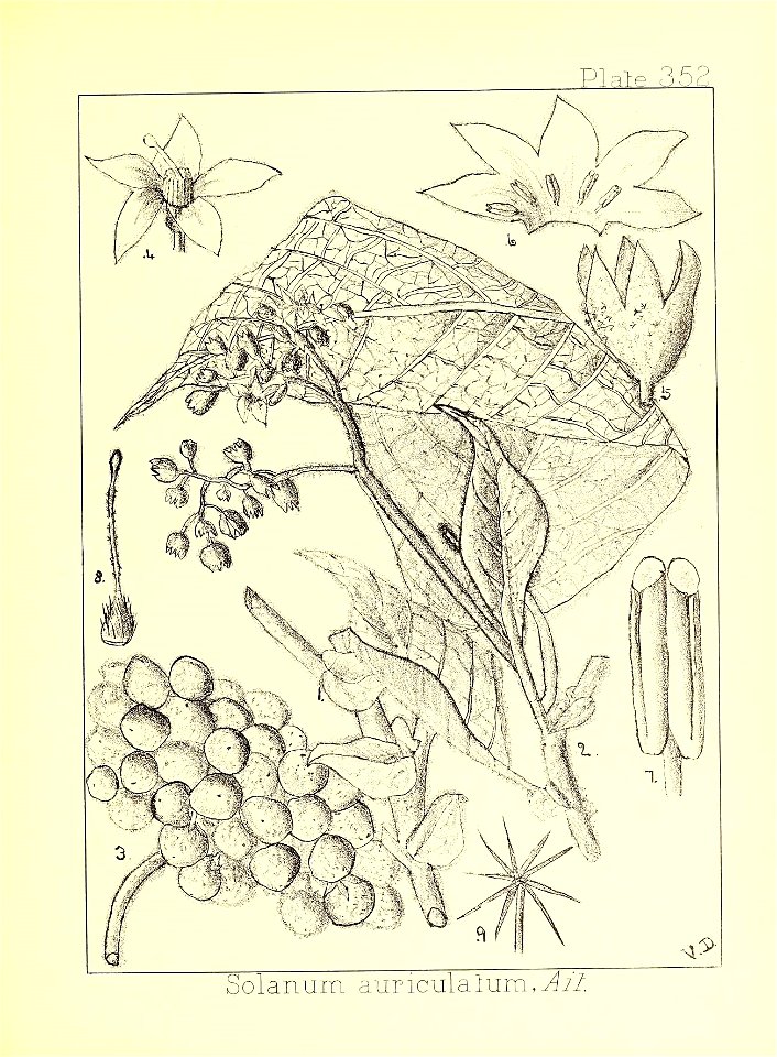 n178_w1150