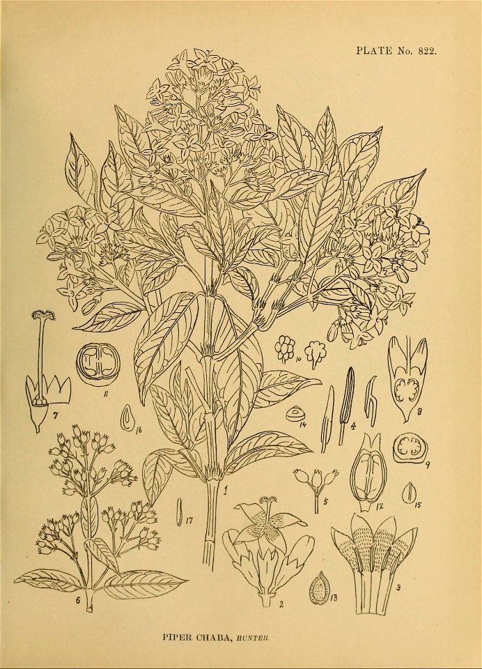 n58_w1150