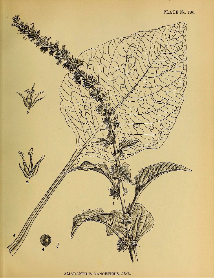 n496_w1150