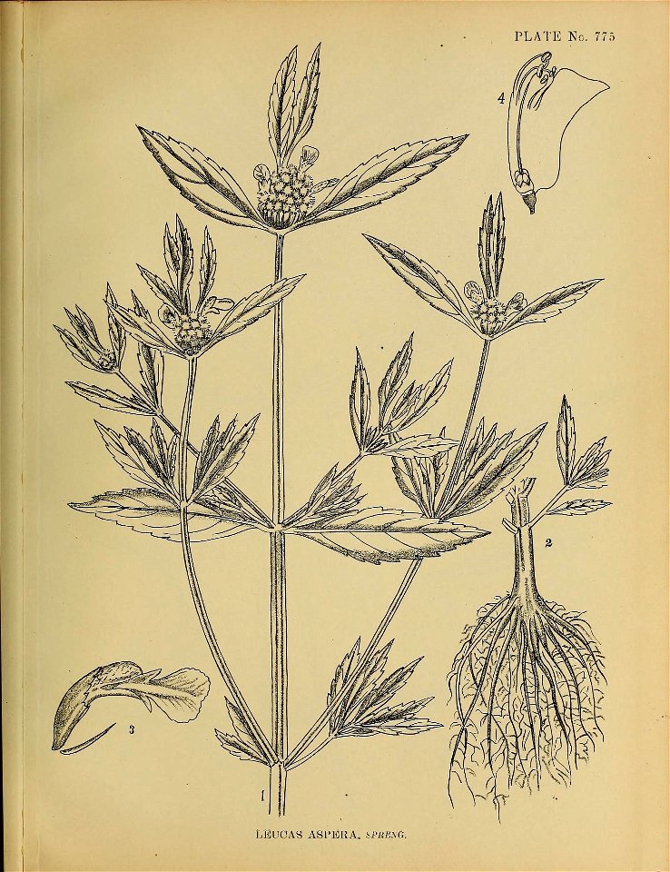 n454_w1150