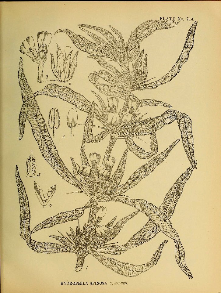 n302_w1150