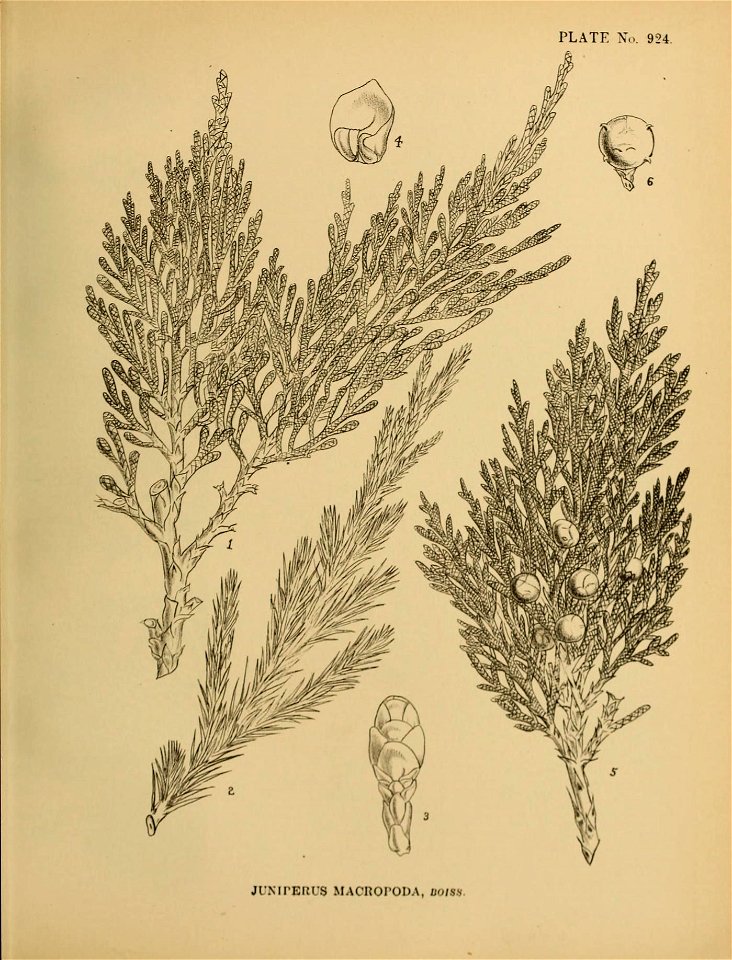 n296_w1150