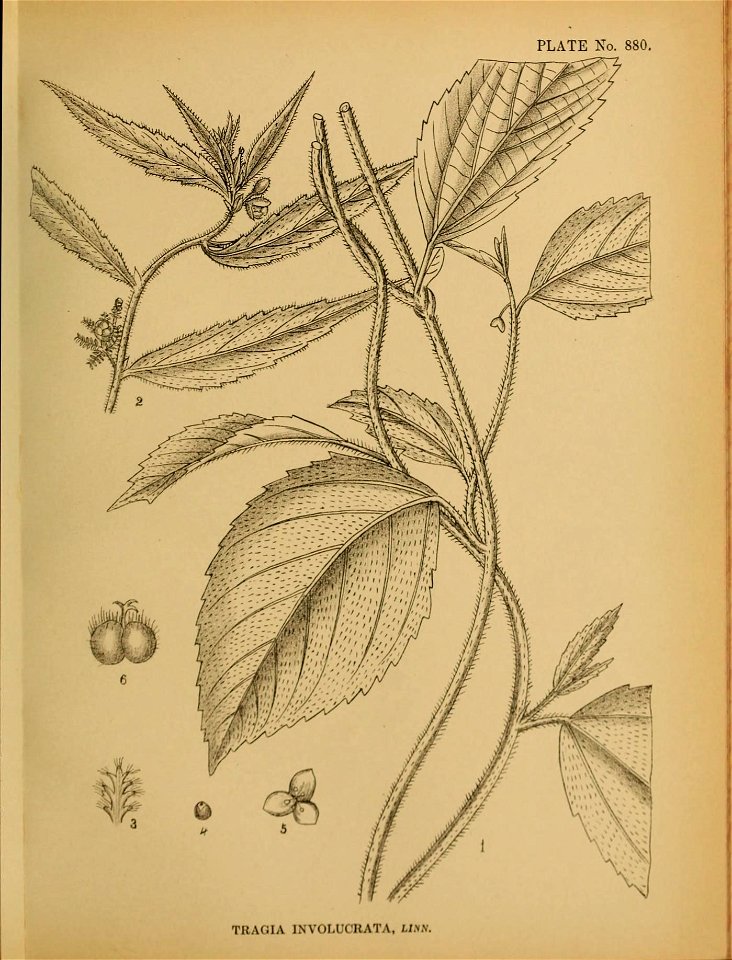 n196_w1150