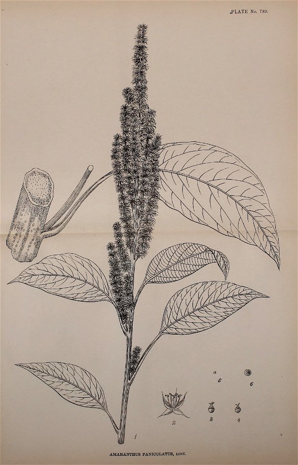 n494_w1150