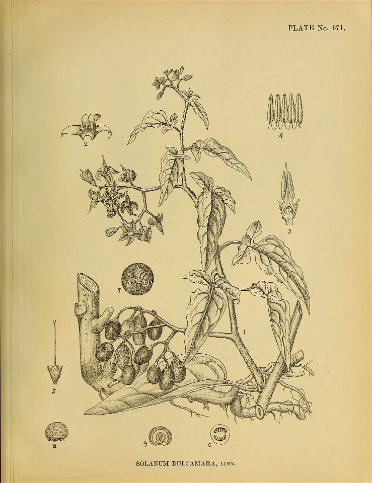 n192_w1150