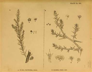 n8_w1150