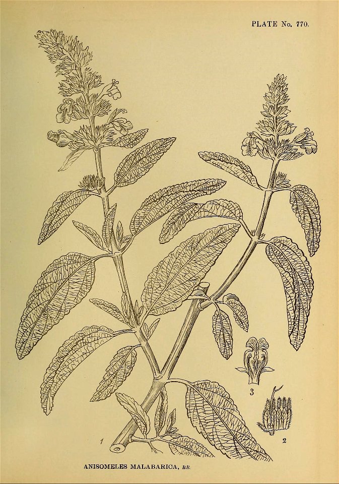 n442_w1150