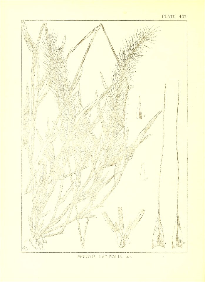 n21_w1150