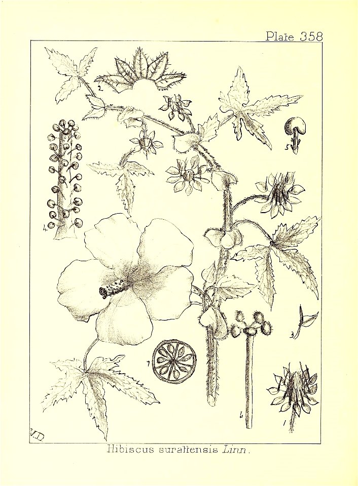 n195_w1150