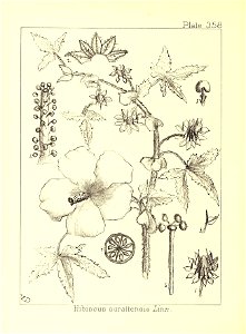 n195_w1150