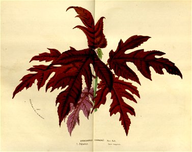 n193_w1150