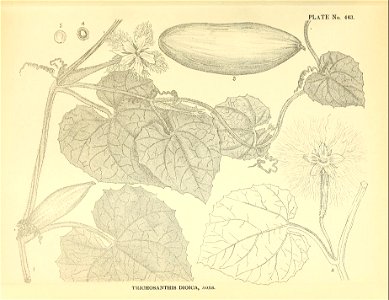 n94_w1150