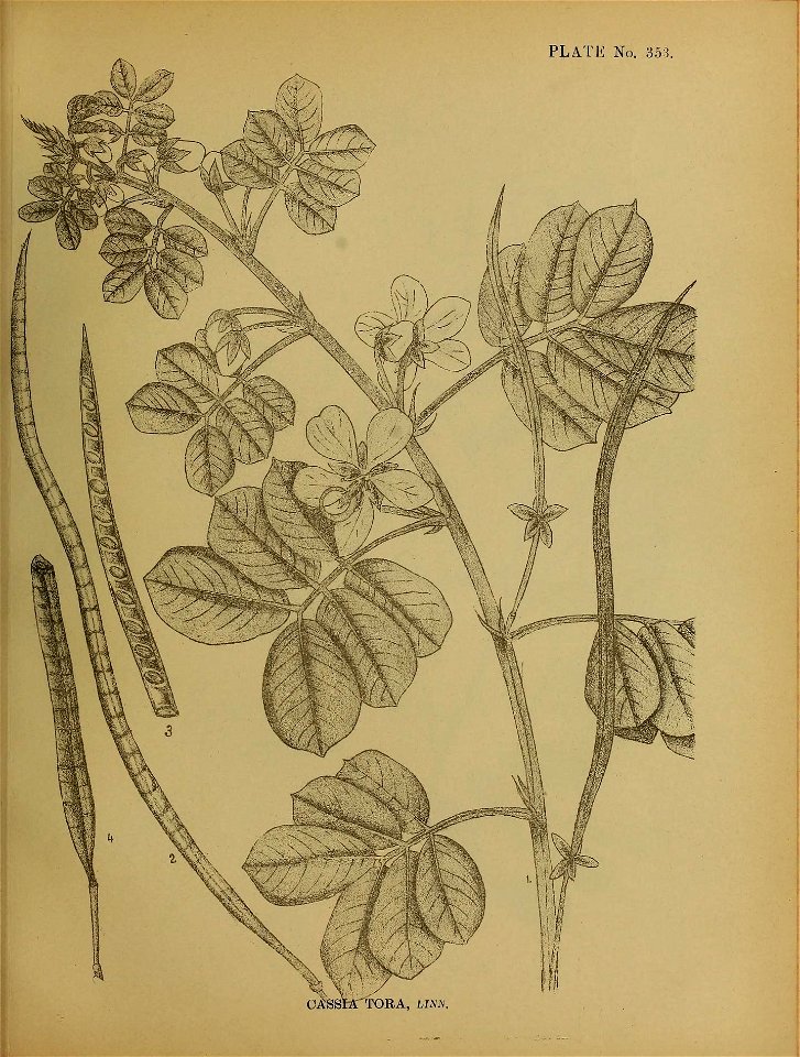 n354_w1150