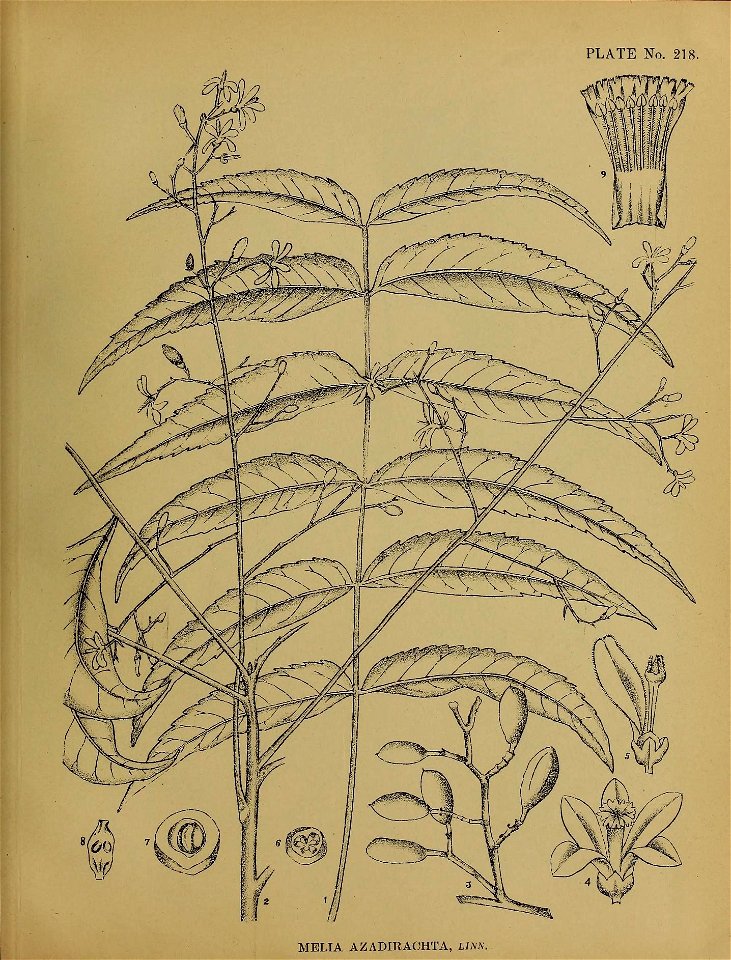 n54_w1150