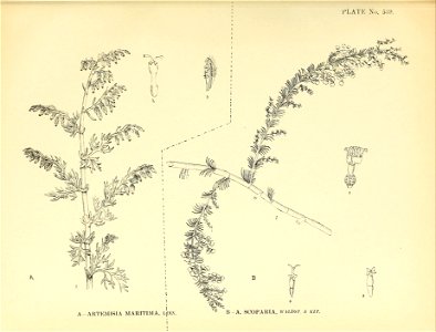 n382_w1150