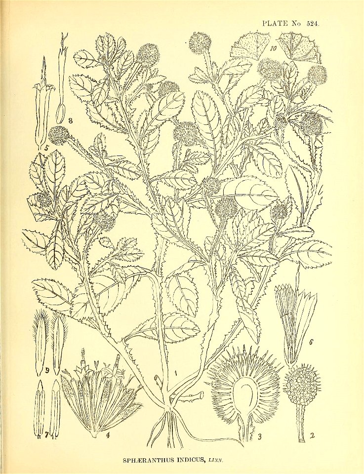 n352_w1150