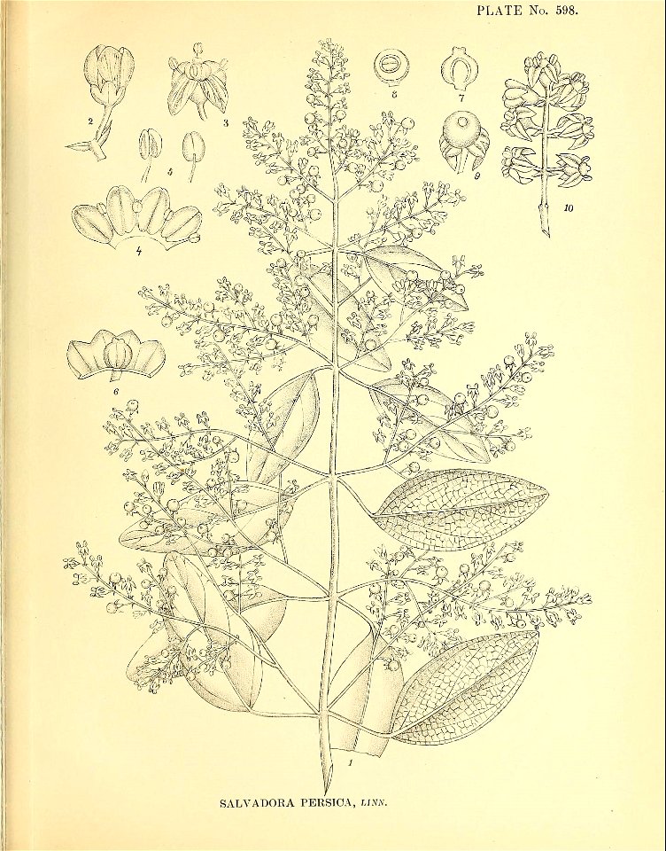 n548_w1150