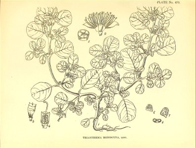 n182_w1150