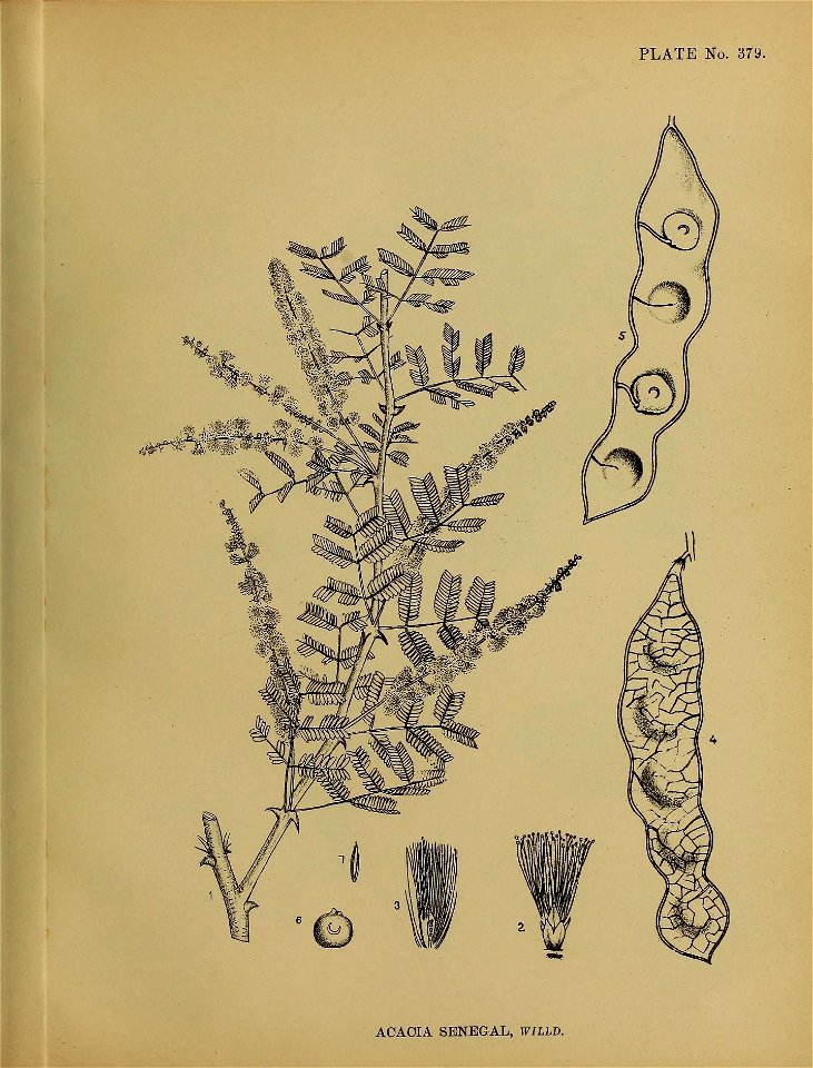 n406_w1150