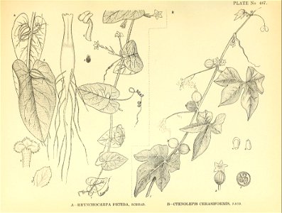 n176_w1150