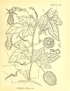 n128_w1150