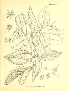 n82_w1150