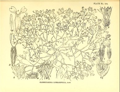 n372_w1150