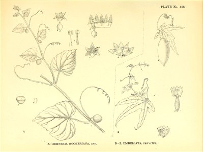 n174_w1150