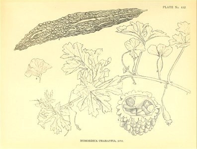 n126_w1150