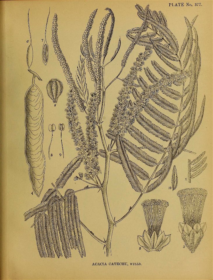 n402_w1150