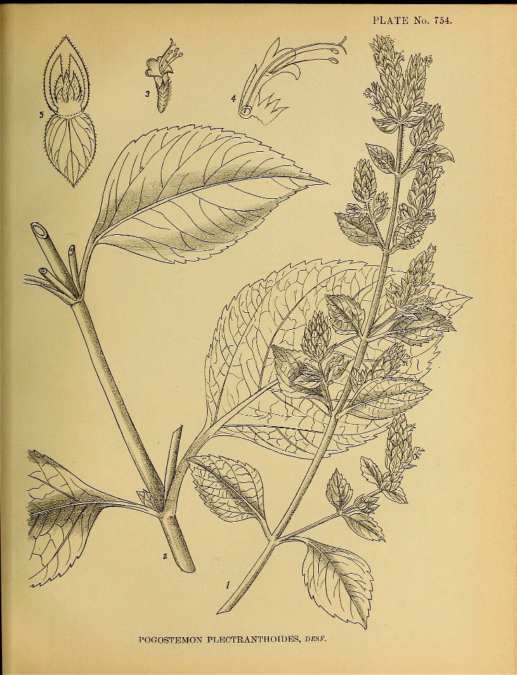 n396_w1150