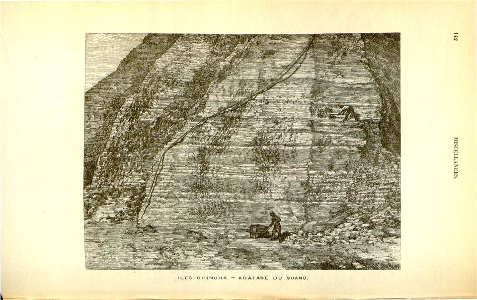 n203_w1150