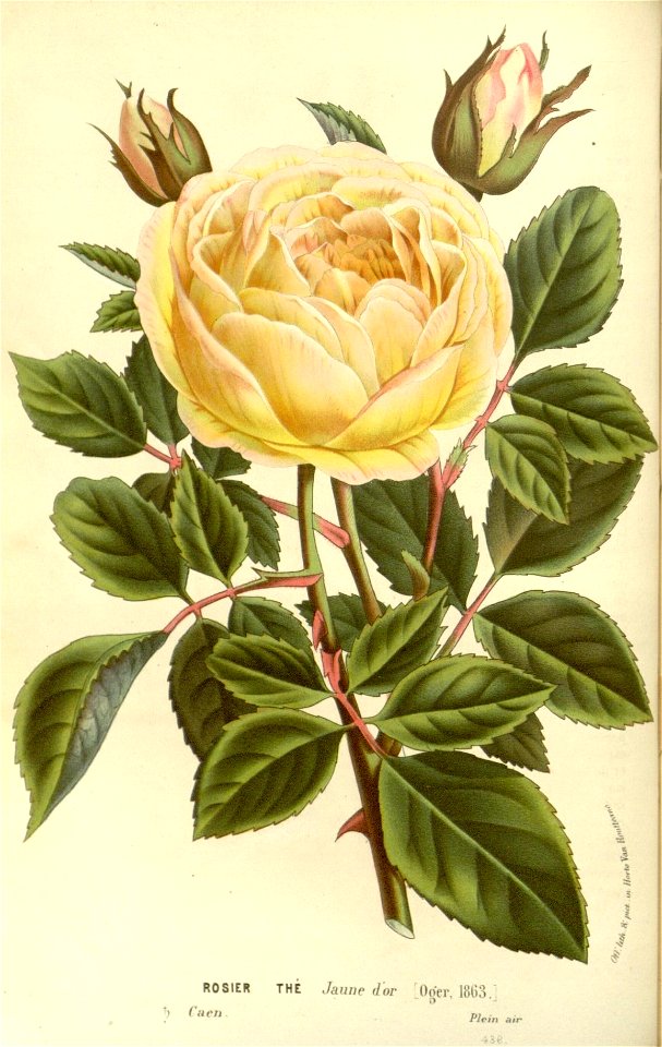 n163_w1150