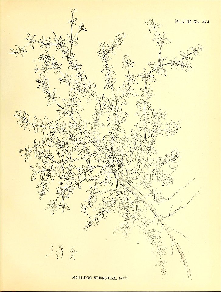 n190_w1150