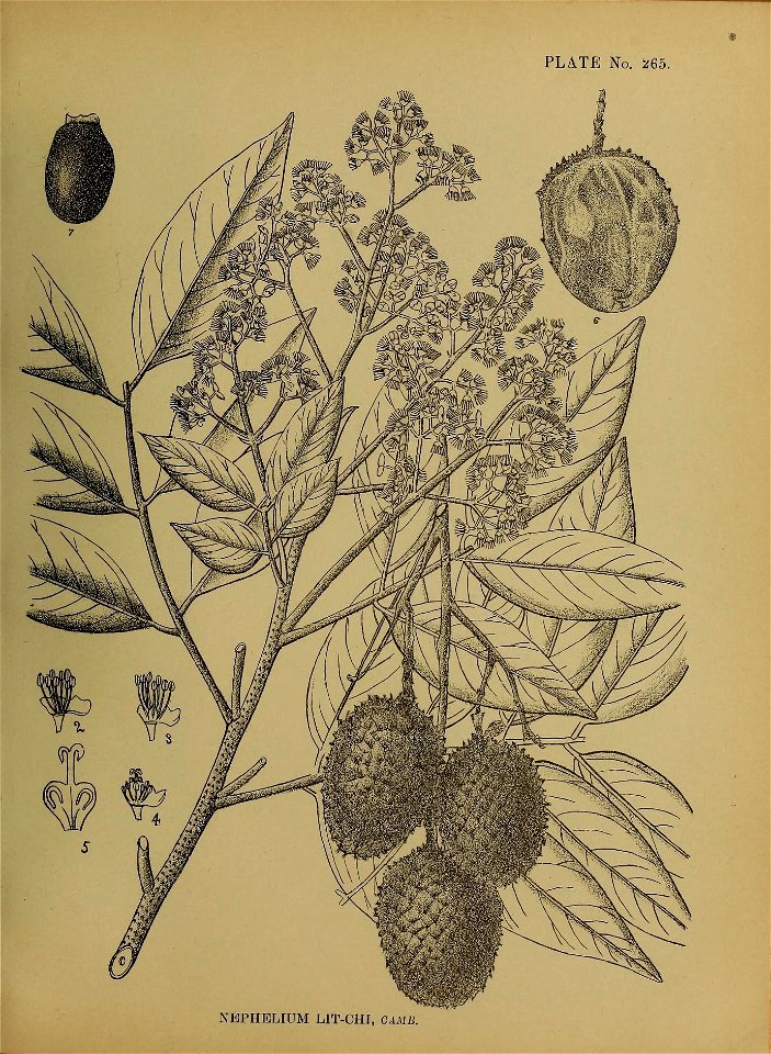 n162_w1150