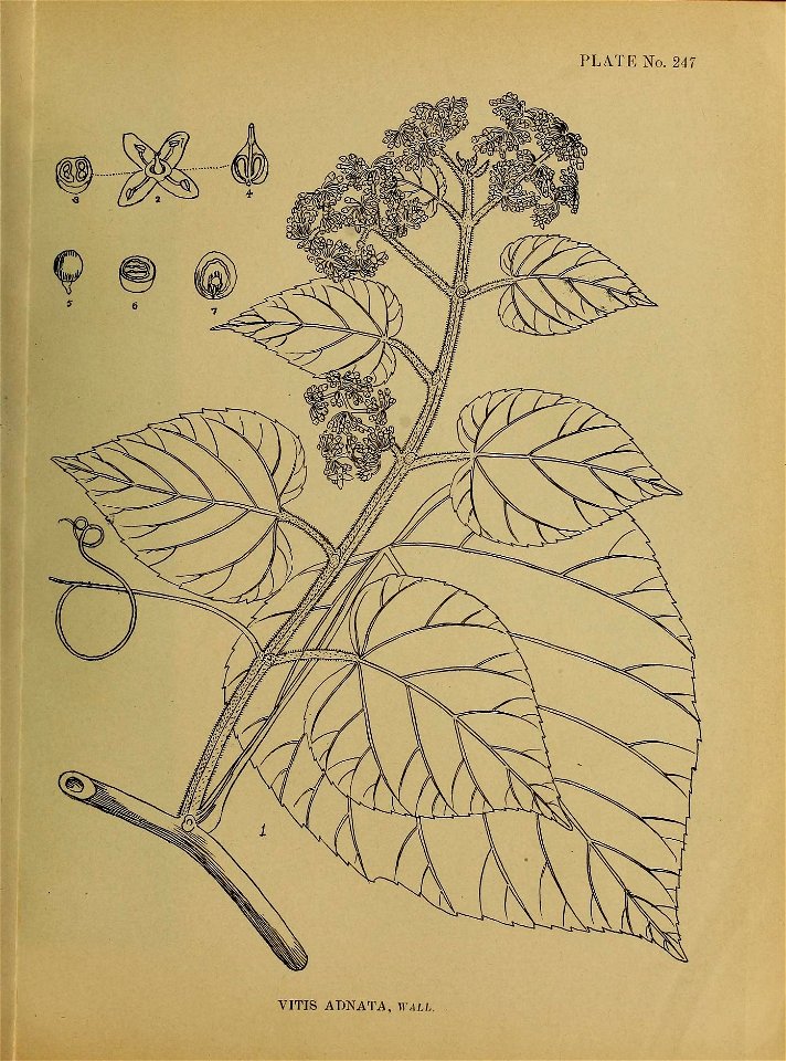 n114_w1150