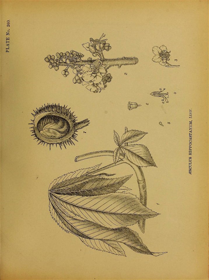 n152_w1150
