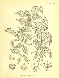 n496_w1150