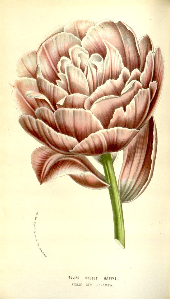 n123_w1150